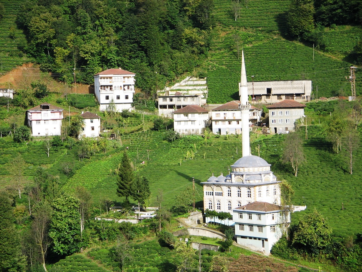 Altıntaş Mahallesi