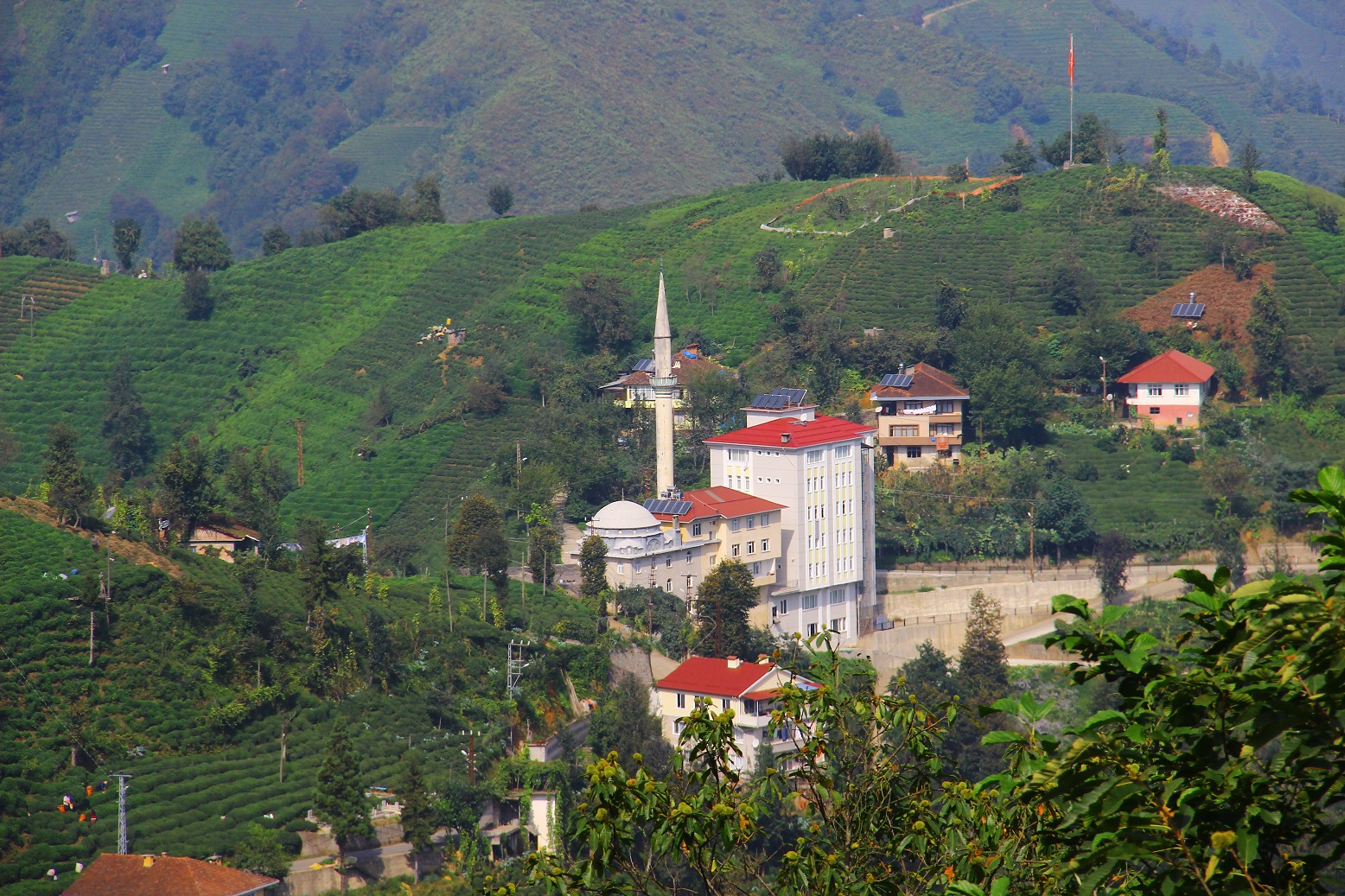 Soğuksu Mahallesi