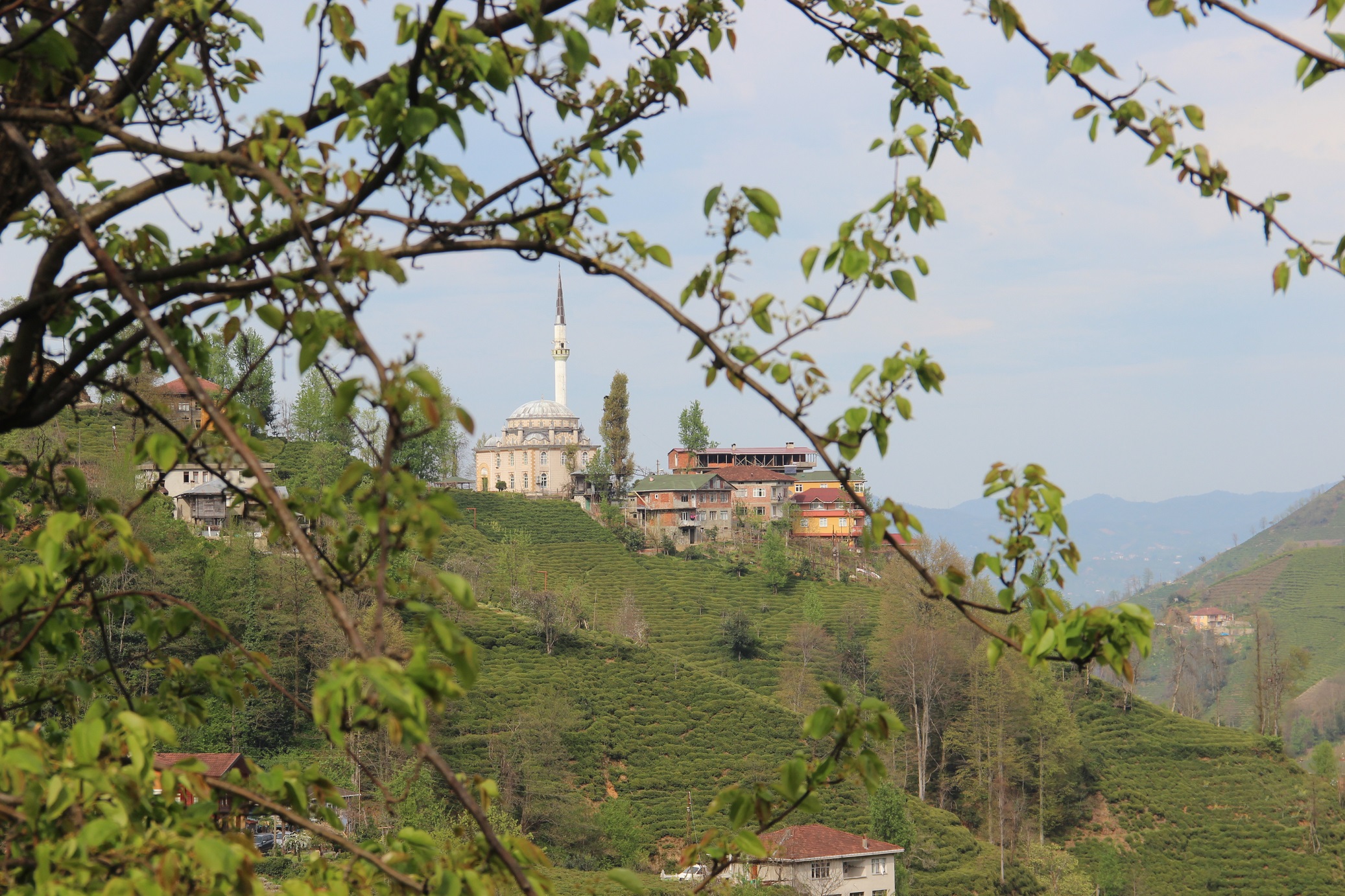 Demirciler Mahallesi